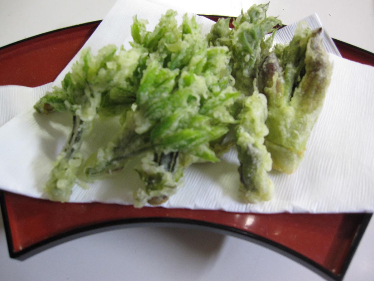 逸纳卡亚都sawa宾馆 野沢 外观 照片