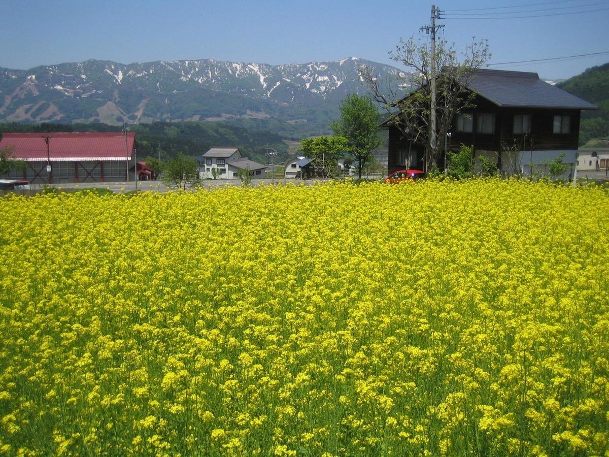 逸纳卡亚都sawa宾馆 野沢 外观 照片